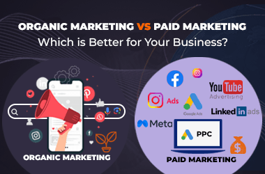 Organic vs. Paid Marketing