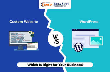 WordPress vs Custom Website comparison for SEO performance
